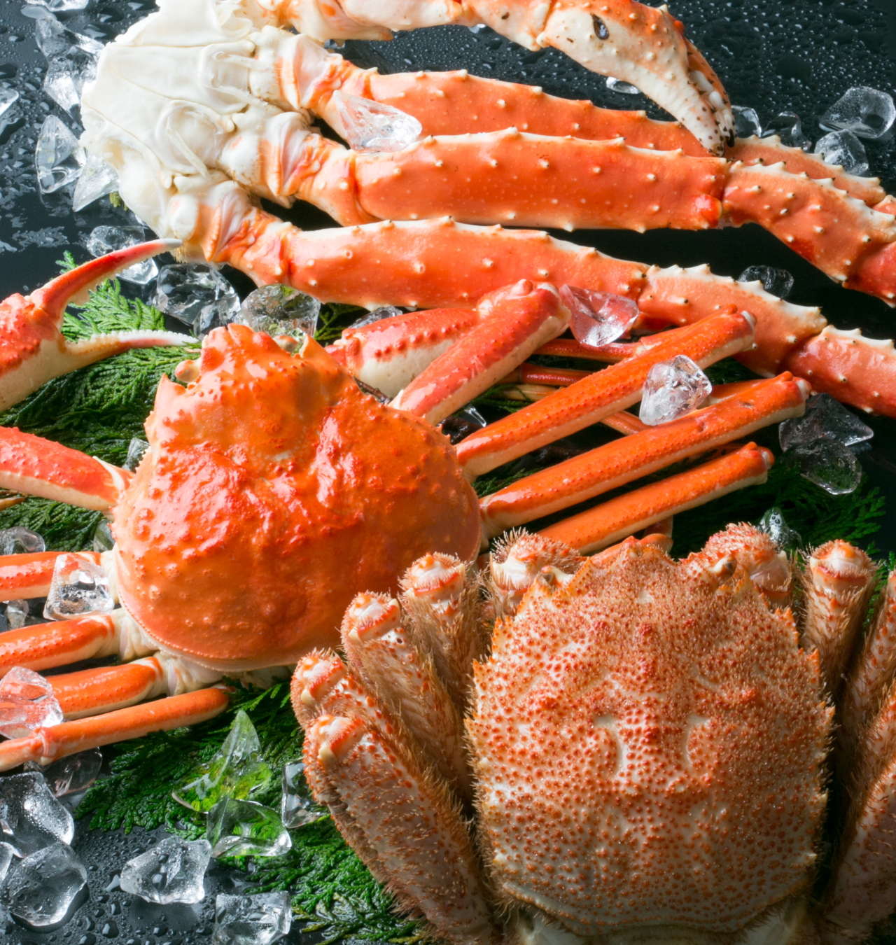 食工房 事業のご紹介